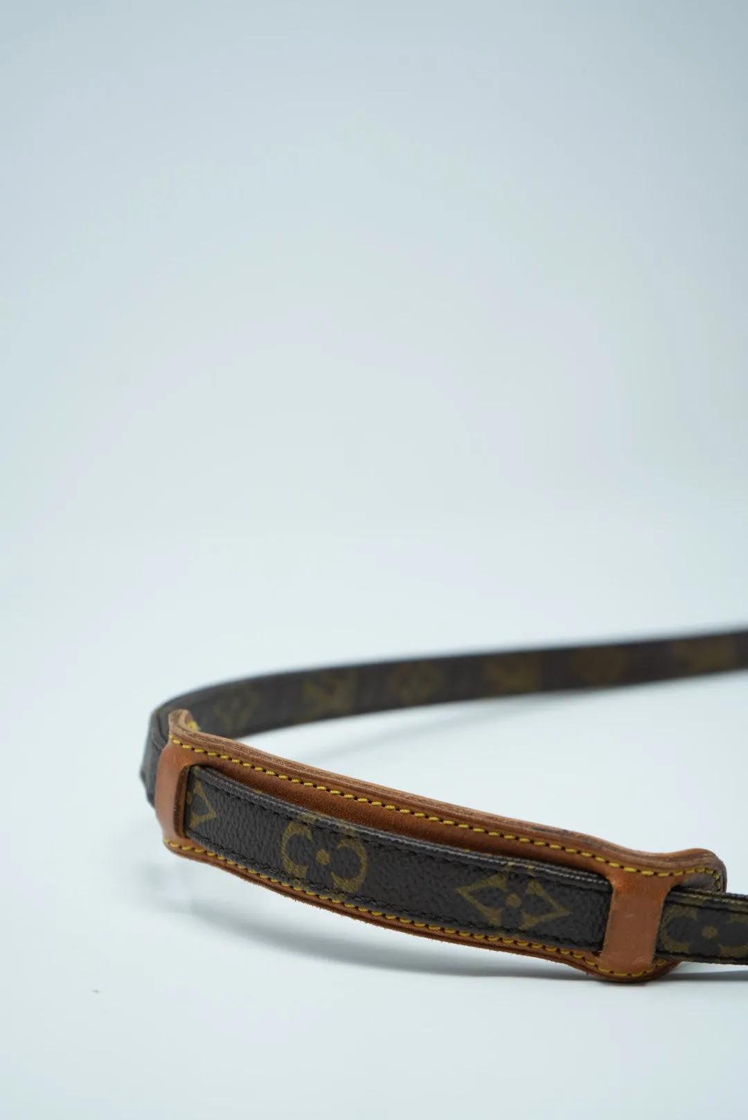 Louis Vuitton Amazon Crossbody Bag
