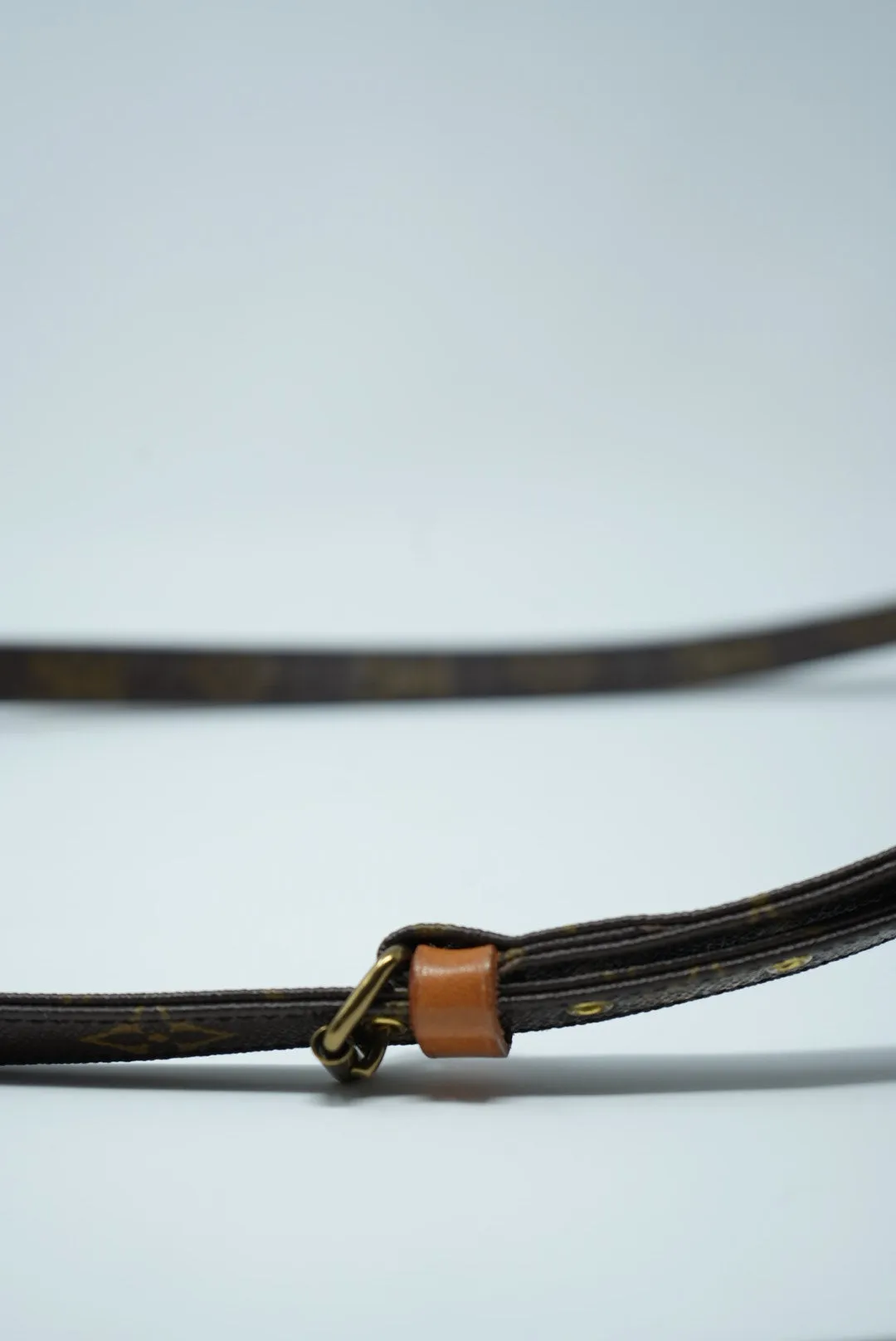 Louis Vuitton Amazon Crossbody Bag