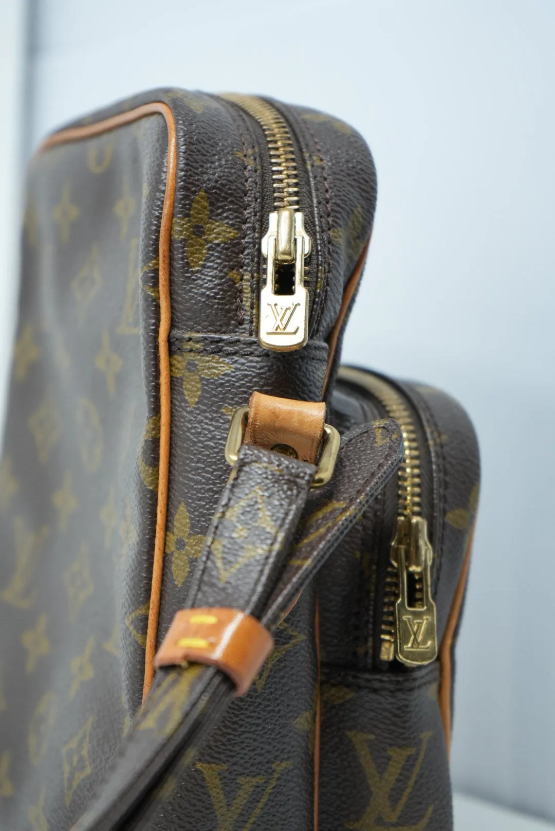 Louis Vuitton Amazon Crossbody Bag