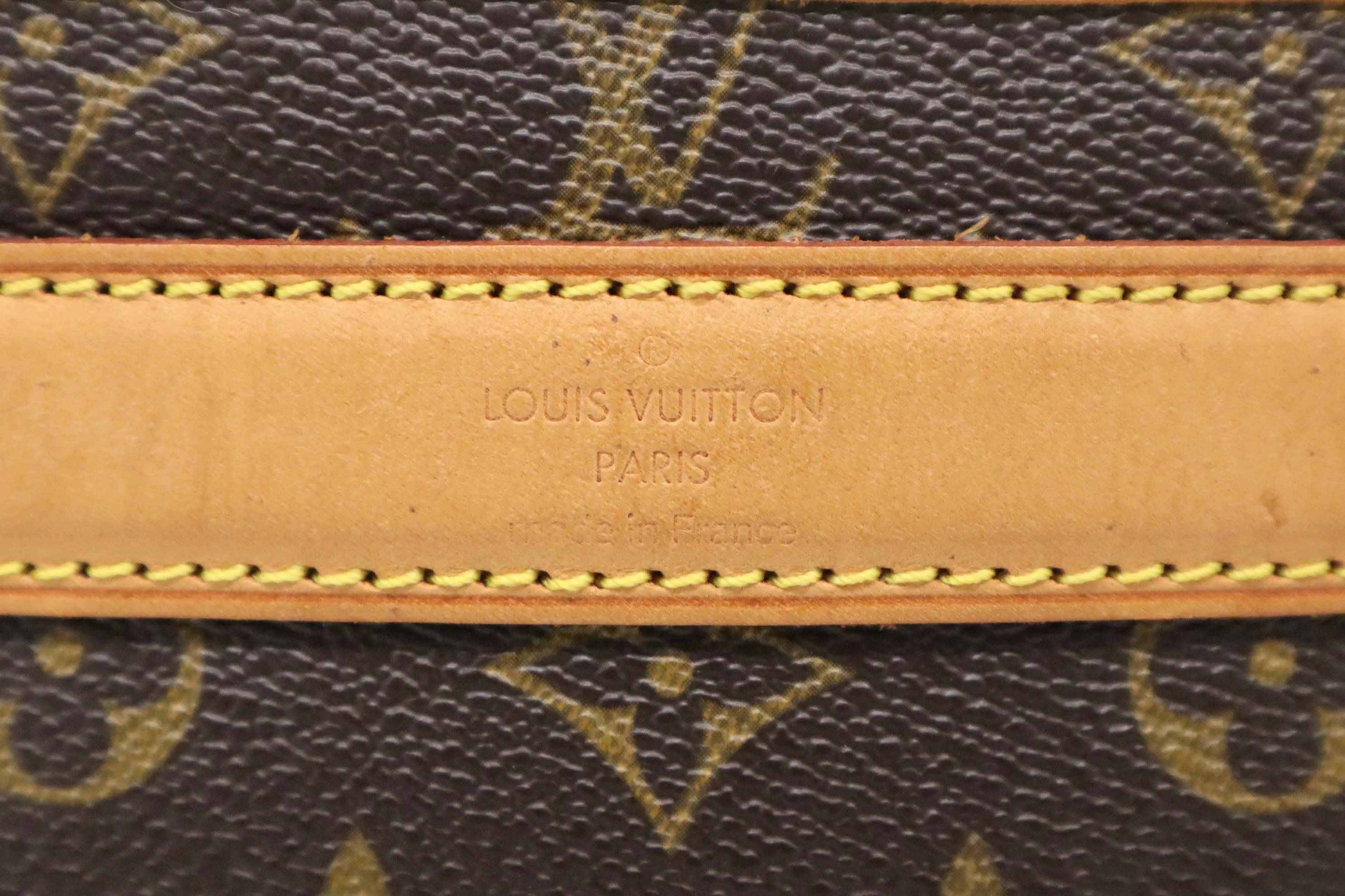 Louis Vuitton Sac Chien 40 in Monogram Canvas