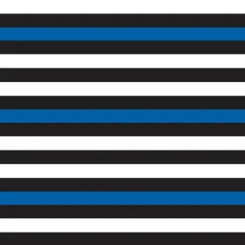 Permanent Vinyl -Police Stripes- Permanent Vinyl / Printed Permanent Vinyl